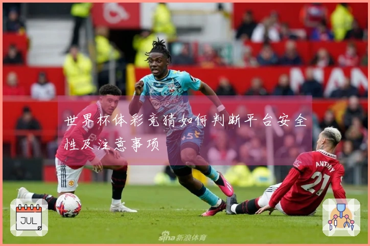 世界杯体彩竞猜如何判断平台安全性及注意事项